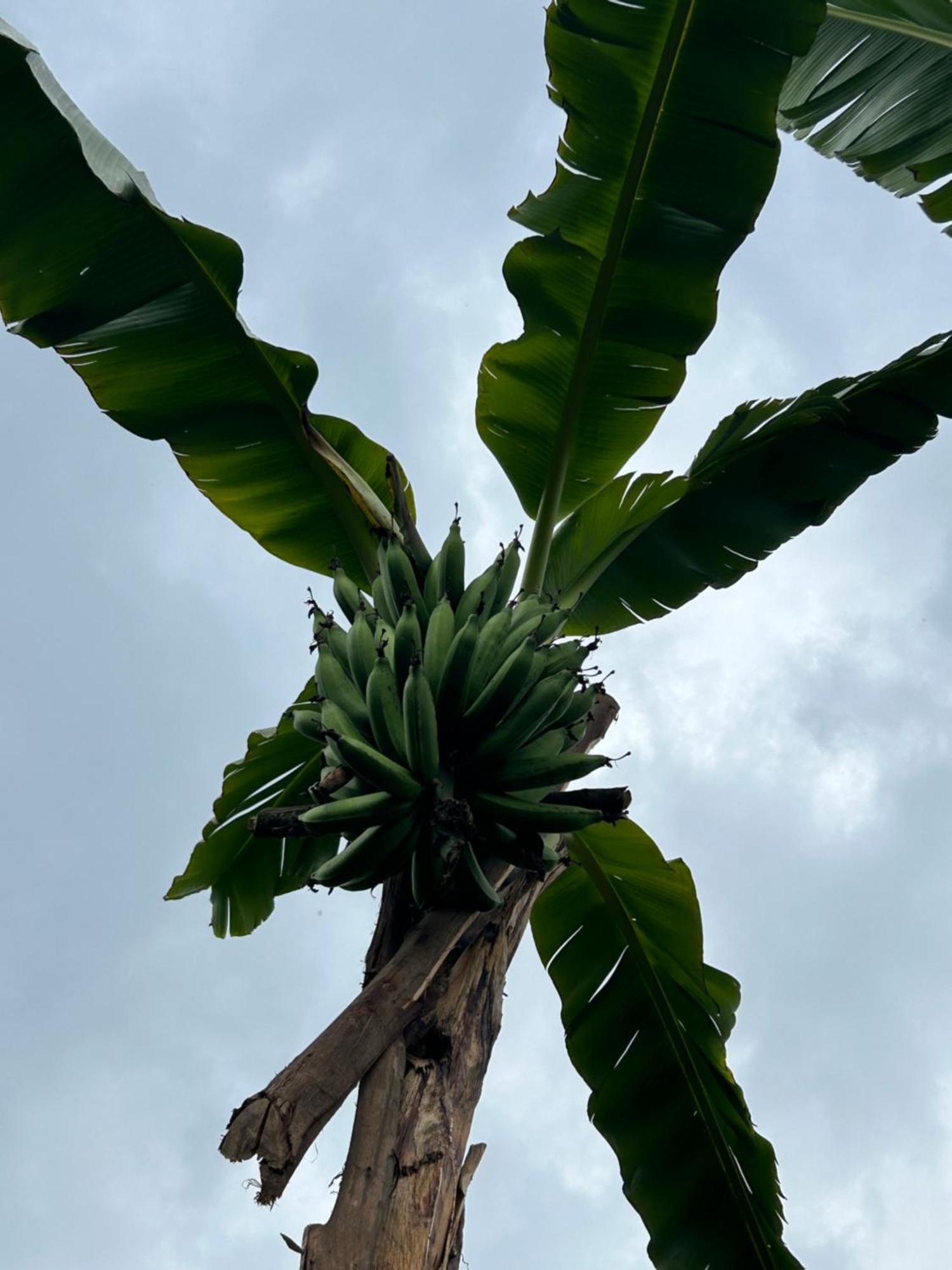 Itambira Island, Seeds Of Hope Kabale Екстериор снимка